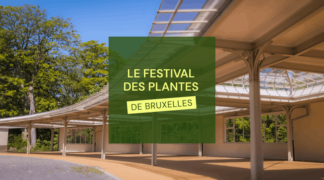 Promotional banner for the Brussels plant festival, over a sunlit glass-roofed pavilion
