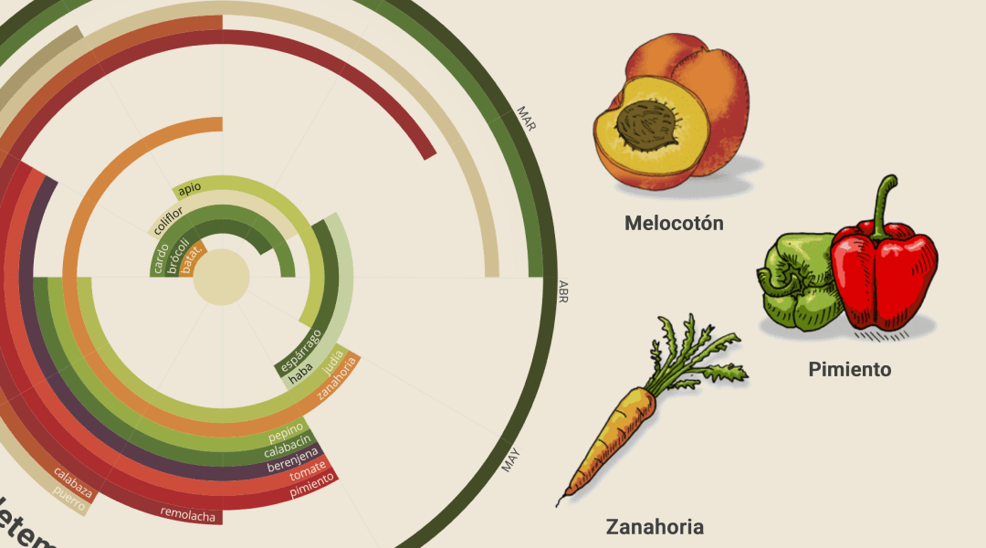 Circular chart of what fruit and vegetables are in season, beside hand-drawn illustrations of a peach, a pepper and a carrot
